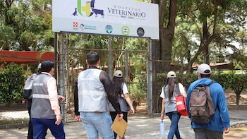 Bienestar Animal del Maga realiza inspección en Hospital Veterinario de la USAC