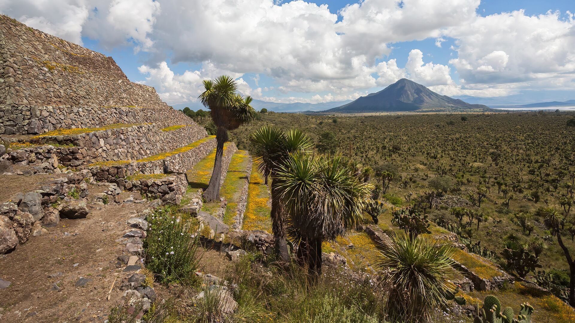Probabilidad de lluvia para este día (Wikimedia Commons)