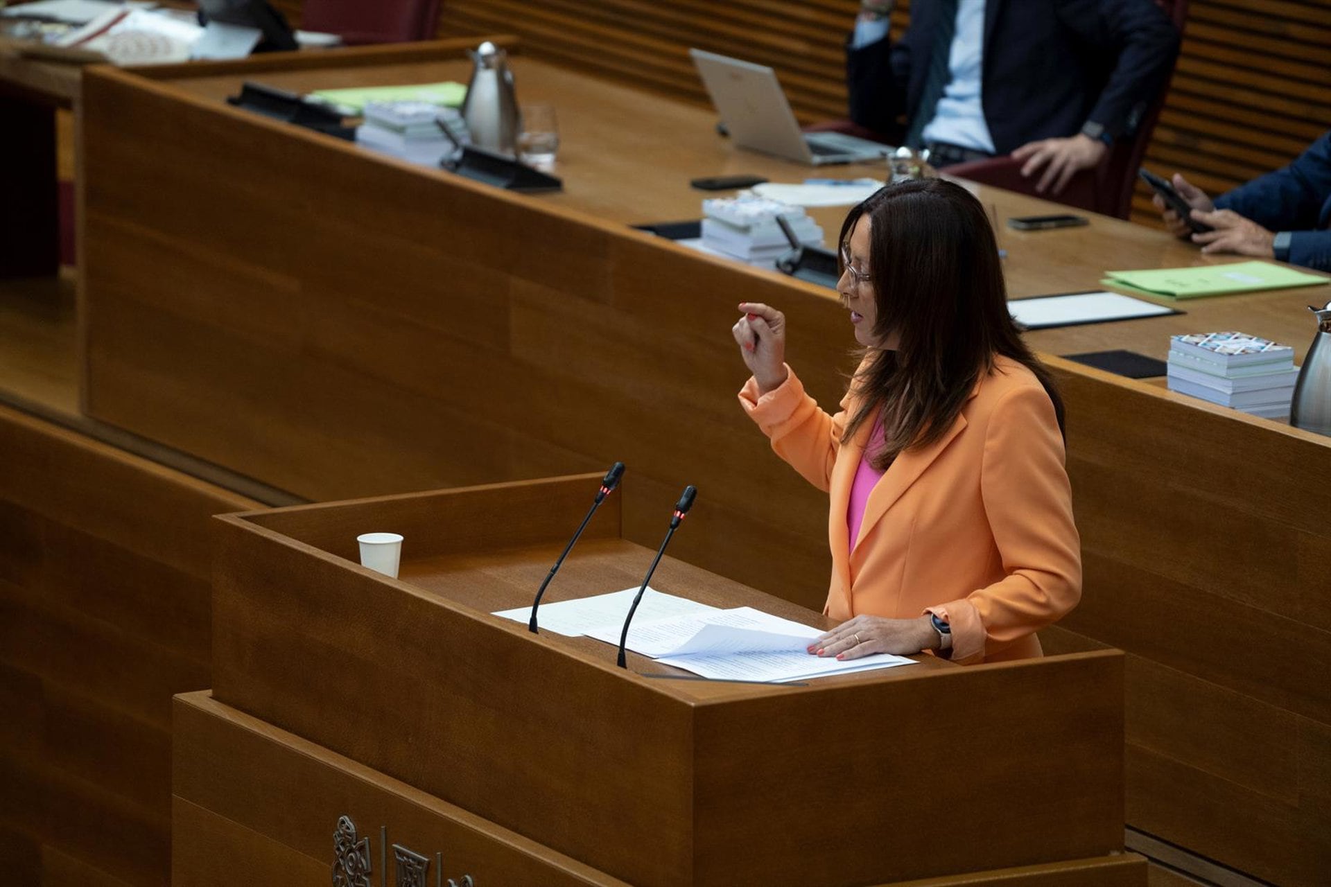 El PSPV reclama a Feijóo que entregue a la jueza de la dana la conversación íntegra con Mazón