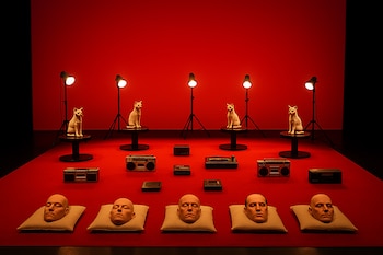 Instalación artística con fondo y suelo rojos, cinco focos, cinco gatos blancos en pedestales, cinco radios/estéreos y cinco cabezas humanas en almohadas
