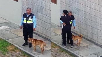 Joven abraza a sereno que