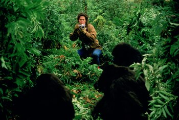 Sigourney Weaver como Dian Fossey