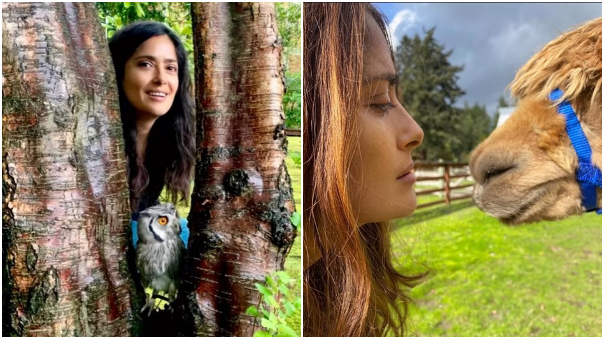 La artista tiene muchos animales porque siente una gran conexión con la naturaleza. (IG: @salmahayek)
