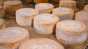 Una quesería artesanal de Lleida