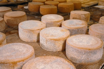 Algunos de los quesos elaborados