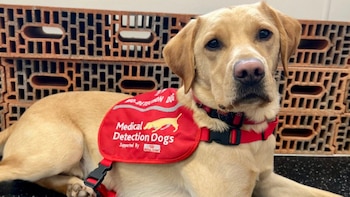 De vivir en acogida a