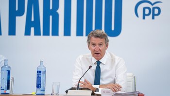 Feijóo plantea una reforma legal