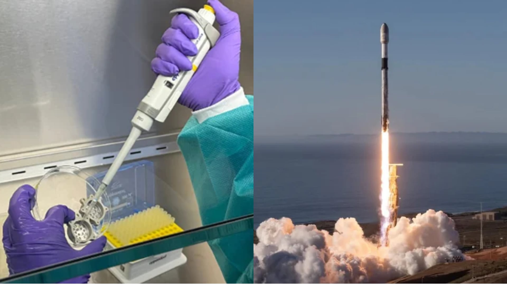 La misión CRS-35 de SpaceX transportó modelos de tejido cerebral y cardiovascular a la Estación Espacial Internacional en una cápsula Dragon (X:@JoelWBlanchard/Instagram:@spacex)