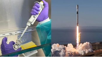 Lanzaron tejidos humanos a la estación espacial para estudiar el envejecimiento