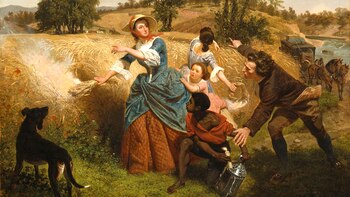 La belleza del día: “La