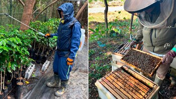 Fue uno de los refuerzos