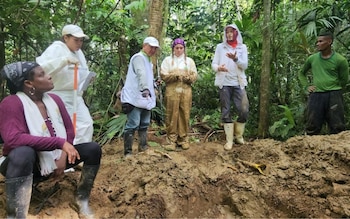 El Consejo Comunitario Los Manatíes