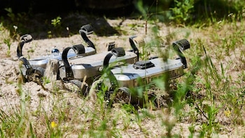 Primer plano de un robot de cuatro módulos y múltiples patas o ruedas metálicas en terreno arenoso con vegetación verde. Hay sombra parcial