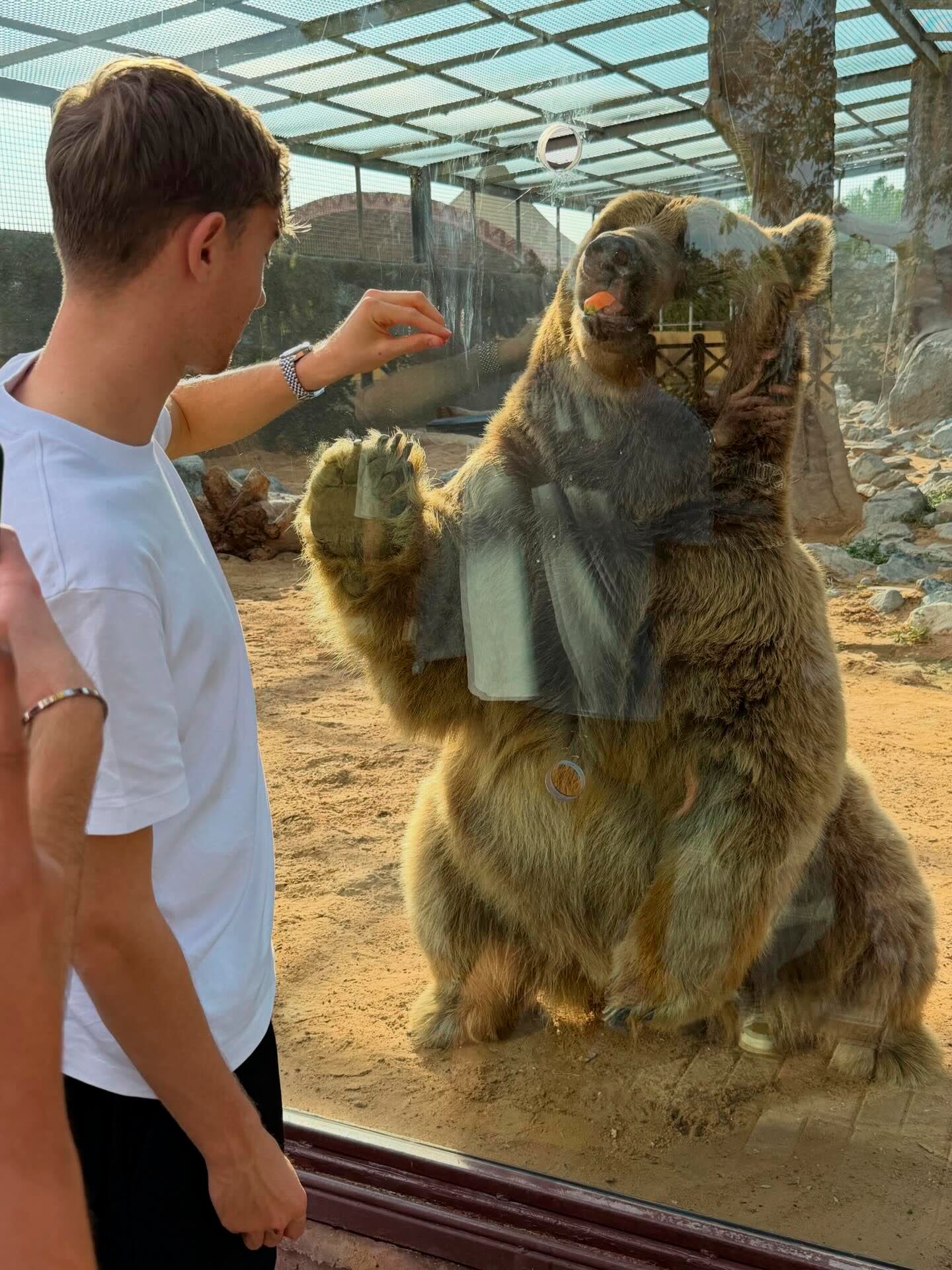 La estrella del Real Madrid compartió momentos con los animales