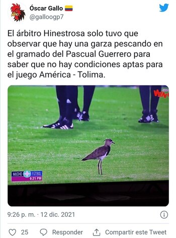 Memes Pascual Guerrero