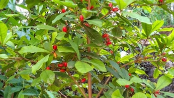 Un primer plano de un