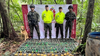 Autoridades incautaron arsenal a estructura