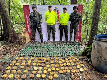 Autoridades destacaron que el arsenal