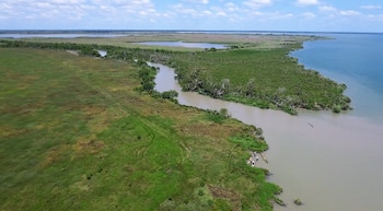 Los estuarios costeros albergan recursos