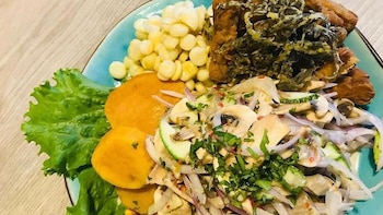 Encuentra las mejores opciones de