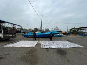 Froga asegurada por las autoridades