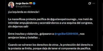El hijo del reconocido presentador negó las acusaciones y afirmó que le arrojaron objetos durante el recorrido - crédito @JorgeEBaron / X