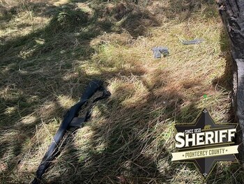 Entre los animales asesinados habían