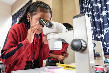 Una estudiante con suéter rojo observa por el ocular de un microscopio blanco. Se distinguen su cabello trenzado y una placa de Petri en la mesa
