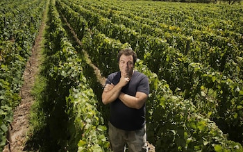 Vinos premiados Decanter World Wine Awards
