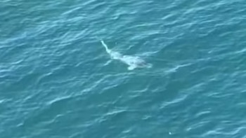 El caso reavivó el debate