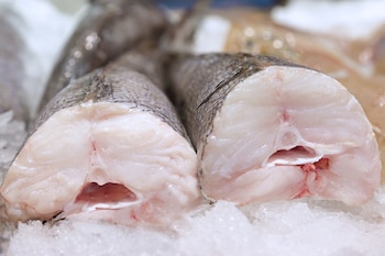 La merluza argentina suele ser