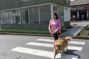 La poca gestión de las