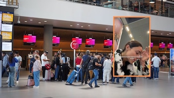 Ciudadana extranjera denunció a Avianca por impedirle abordar en Bogotá junto a su perro: tuvo que pagar un pasaje extra de 1.000 dólares