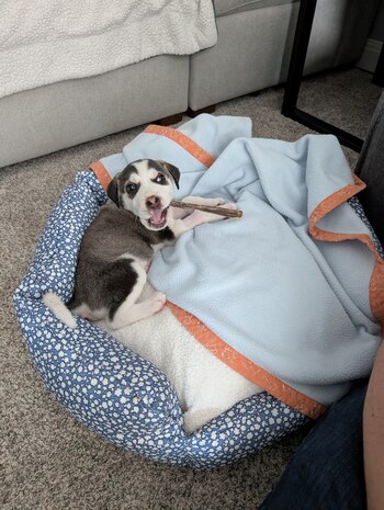 Fue adoptada por una familia