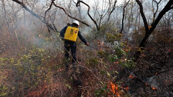 Reportaron 32 incendios forestales en