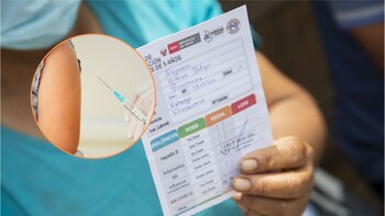 ¿Cómo saber cuántas vacunas tiene