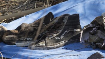 “Nobody Helps Them”: Sonora Seeker