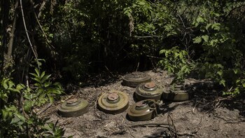 Seis minas en Novodarivka (David