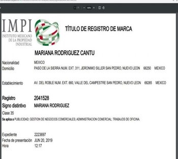 (Captura de pantalla: IMPI)
