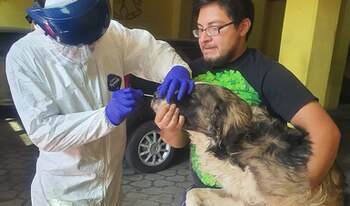 Personal sanitario hace un test