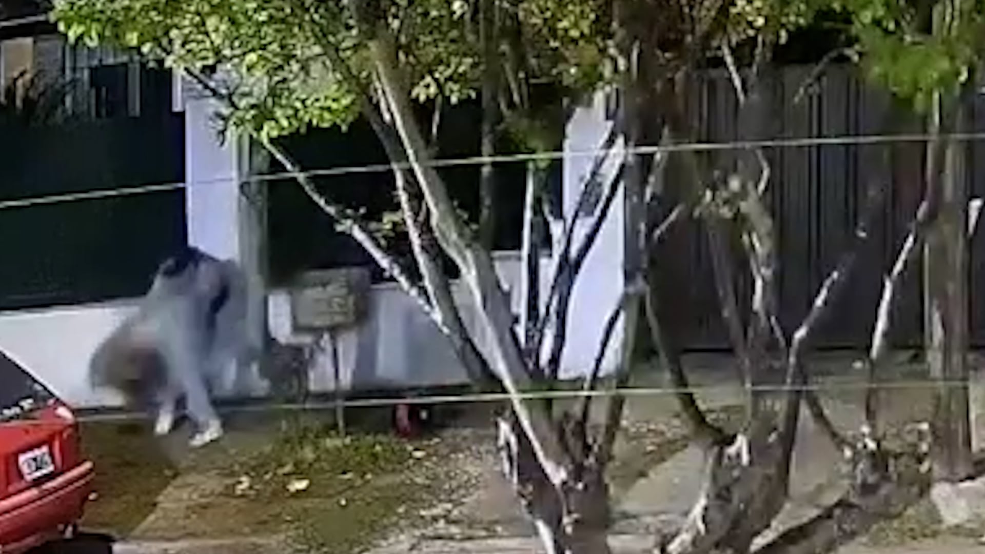 Carrizo primero golpeó a su pareja con el puño y luego con el casco. Después, la tiró al piso y comenzó a darle patadas