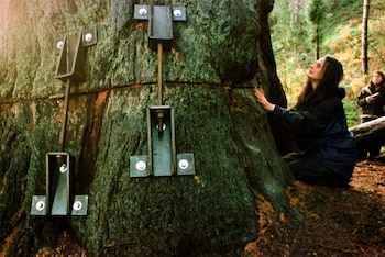 Julia lamenta el daño que