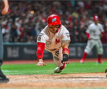 El jardinero estuvo presente en