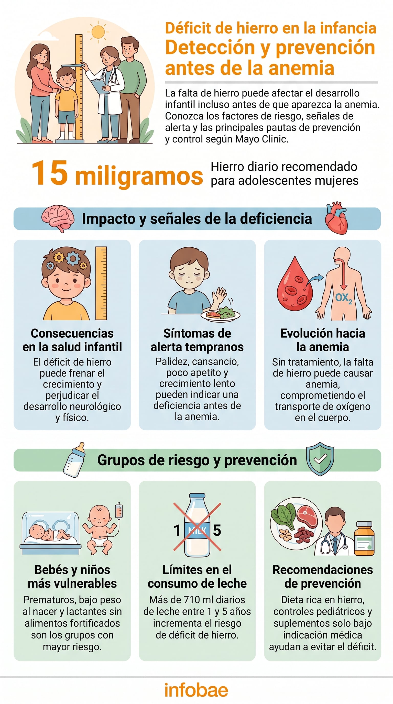 Una infografía de Mayo Clinic y Infobae detalla el déficit de hierro en la infancia, sus riesgos, consecuencias y las pautas para su detección y prevención antes de la aparición de la anemia. (Imagen Ilustrativa Infobae)