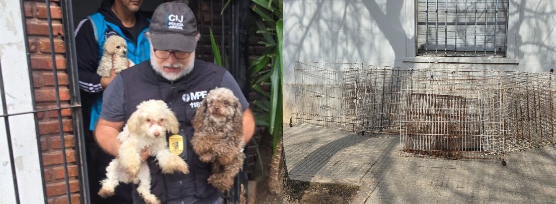 El operativo fue coordinado por la UFEMA junto a distintas áreas del Gobierno porteño y fuerzas de seguridad