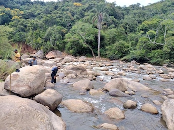 El gobernador recomendó no acercarse