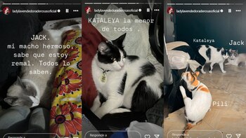 Lady Tabares considera a sus