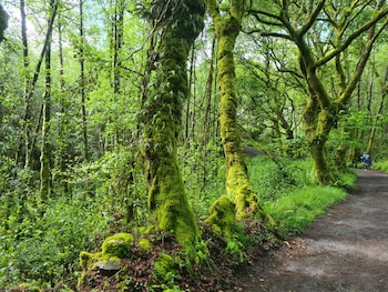 Camino de Santiago