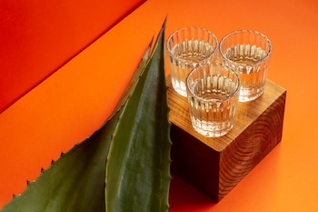 El tequila y el mezcal son dos de las bebidas que se extraen de la planta del agave (Magnific)