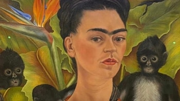 Canal 22 estrena especial “Colección Gelman: bien público y acervo privado”